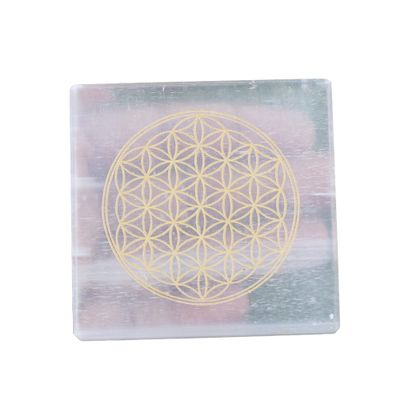 REAL-GEMS 7 Chakra Natural Healing Crystal Chakra Worry Stone,Healing Crystal Therapy, Excellent Aid to Healing