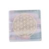 REAL-GEMS 7 Chakra Natural Healing Crystal Chakra Worry Stone,Healing Crystal Therapy, Excellent Aid to Healing view 1