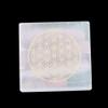 REAL-GEMS 7 Chakra Natural Healing Crystal Chakra Worry Stone,Healing Crystal Therapy, Excellent Aid to Healing view 2