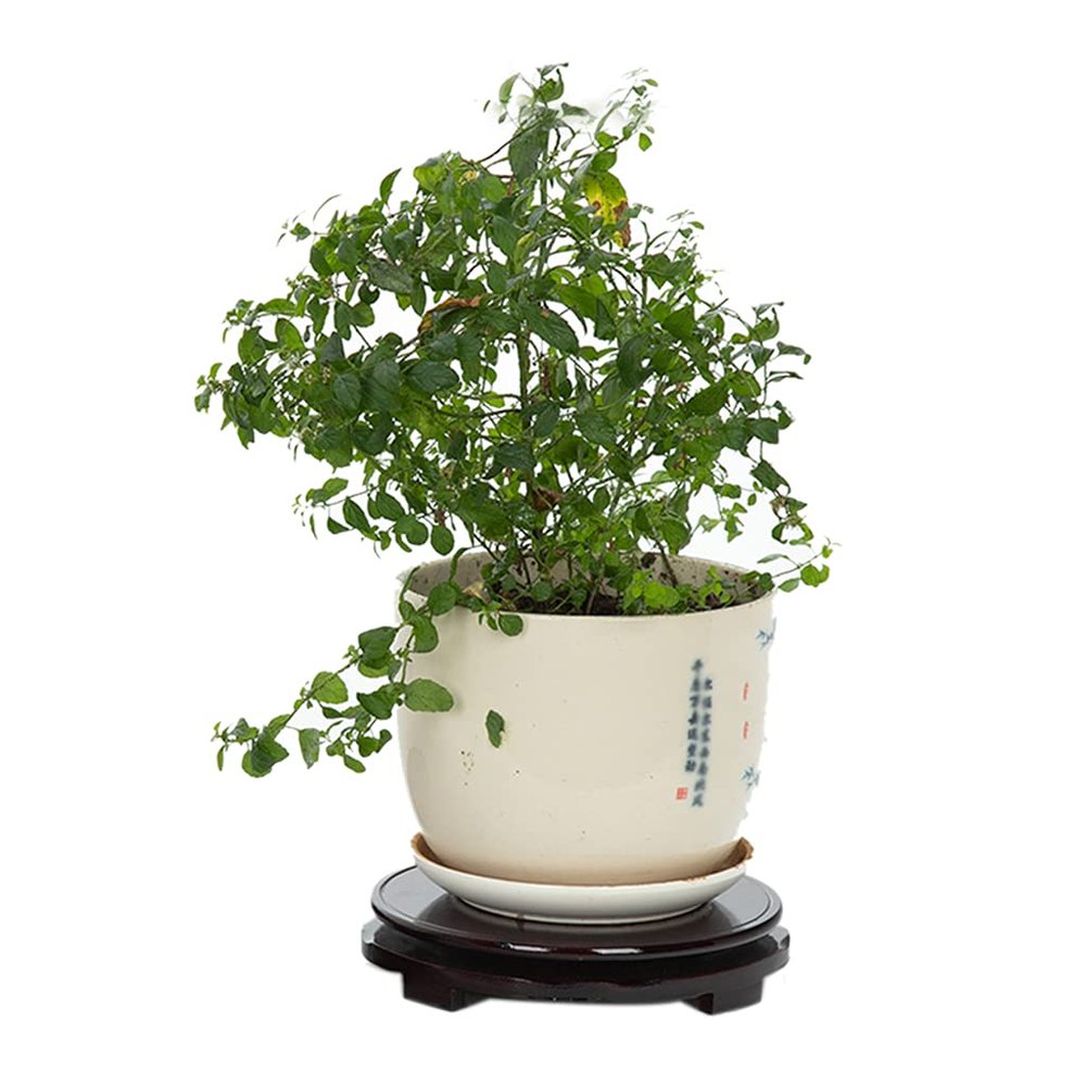 360 Wood Rotating Turntable 16-40cm in Diameter Inlaid Balls Lazy Susan for Placing Buddha Statues Potted Plants Vases Coffee Utensils