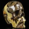 Skullis 5.0" Dragon Septarian Stone Hand Carved Crystal Skull, Super Realistic, Crystal Healing, Hand Carved Gemstone Fine Art Sculpture, Reiki Healing Stone Statue.1133 Z8 view 1
