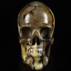 Skullis 5.0" Dragon Septarian Stone Hand Carved Crystal Skull, Super Realistic, Crystal Healing, Hand Carved Gemstone Fine Art Sculpture, Reiki Healing Stone Statue.1133 Z8 view 3