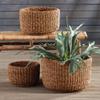Napa Home & Garden Natural Seagrass Cylindrical Baskets Set of 3 - Soft Flexible and Beautifully Textured Storage Bins for Home Decor Brown view 2