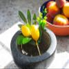 Abbott Collection 27-ZEST-233 Lifelike Lemon Floral Pick, Yellow/Green view 4