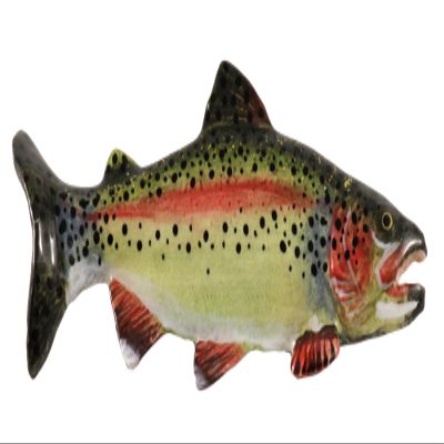 Handcrafted Hand Painted Rainbow Trout Large Premium Magnet Gift for Fishermen Home Office Lodge Fridge Whiteboard Locker - Made in USA - SKU FP001PRMAG