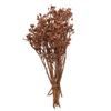 12"x1-3" Eucalyptus Orange Frost 16Pc Bu view 1