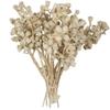 11"x2-4" Conical Gum Bleached 20Pc Bu view 1