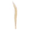 Vickerman 678916-8"-12" Khejur Jhar Bleached Palm 25/pk (H7KHJ999) Dried and Preserved Palms view 1