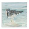 Stupell Industries Nautical Sandpiper Shallow Beach Waters Traditional Bird, Design by Julie DeRice Wall Plaque, 12 x 12, Blue view 1