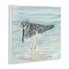 Stupell Industries Nautical Sandpiper Shallow Beach Waters Traditional Bird, Design by Julie DeRice Wall Plaque, 12 x 12, Blue view 3