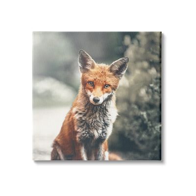 Stupell Industries Adorable Woodland Fox Orange Fur Soft Tone Forest, Design by Leah Straatsma Canvas Wall Art, 17 x 17, Green