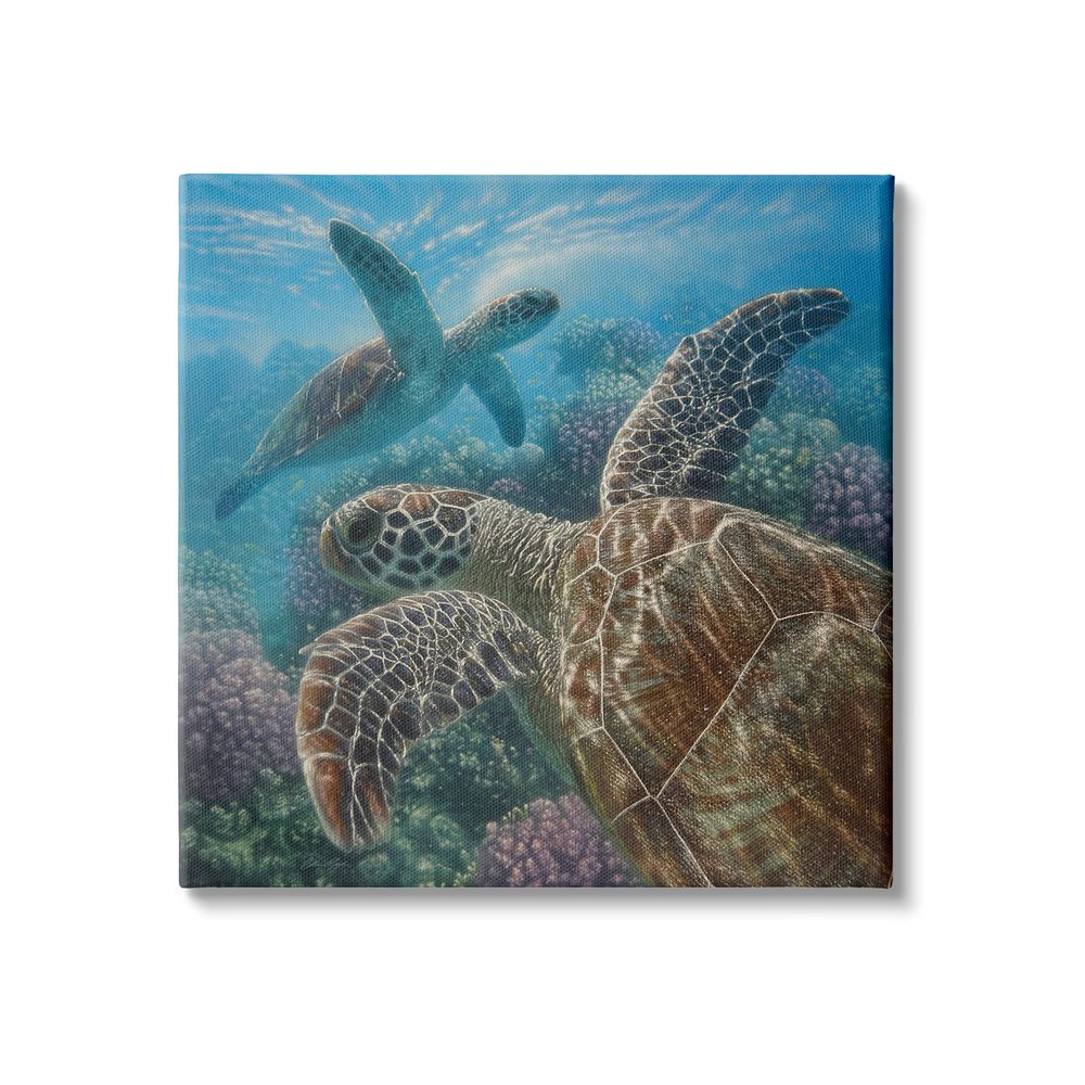 Stupell Industries Sea Turtle Pair Coral Reef Ocean Life Scene