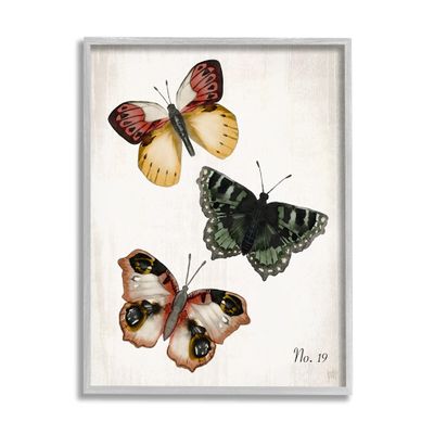 Stupell Industries Trio of Butterflies Farmhouse Patterned Wings Charming Insects