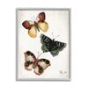 Stupell Industries Trio of Butterflies Farmhouse Patterned Wings Charming Insects view 1