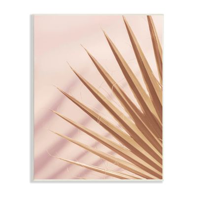 Stupell Industries Palm Frond Photograph Expressive Tropical Plant Sun Bleached