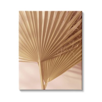 Stupell Industries Two Palm Fronds Sun Bleached Photography Tropical Plants