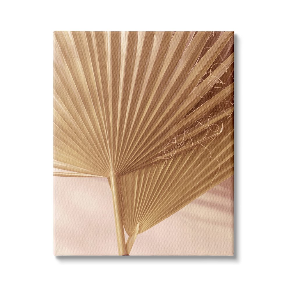 Stupell Industries Two Palm Fronds Sun Bleached Photography Tropical Plants