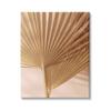 Stupell Industries Two Palm Fronds Sun Bleached Photography Tropical Plants view 1