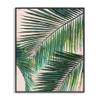 Tropical Fronds Botanical, 11 x 14 Inch Framed Gicle Print view 1