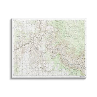 Stupell Industries Grand Canyon National Park Reserve Topographic Map Geography