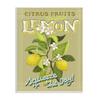 Stupell Industries Vintage Citrus Fruits Lemon Squeeze The Day Phrase view 1