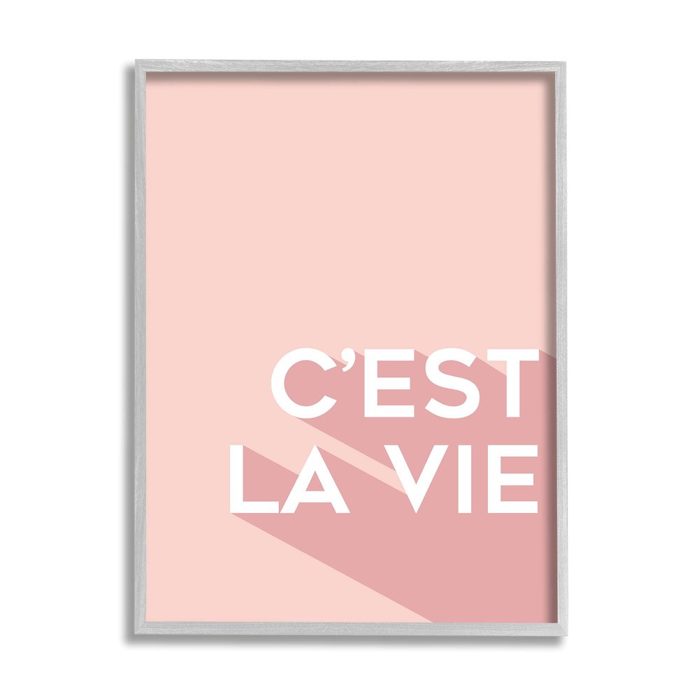 Stupell Industries C'est La Vie French Phrase Pink Pop Typography