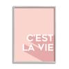 Stupell Industries C'est La Vie French Phrase Pink Pop Typography view 1
