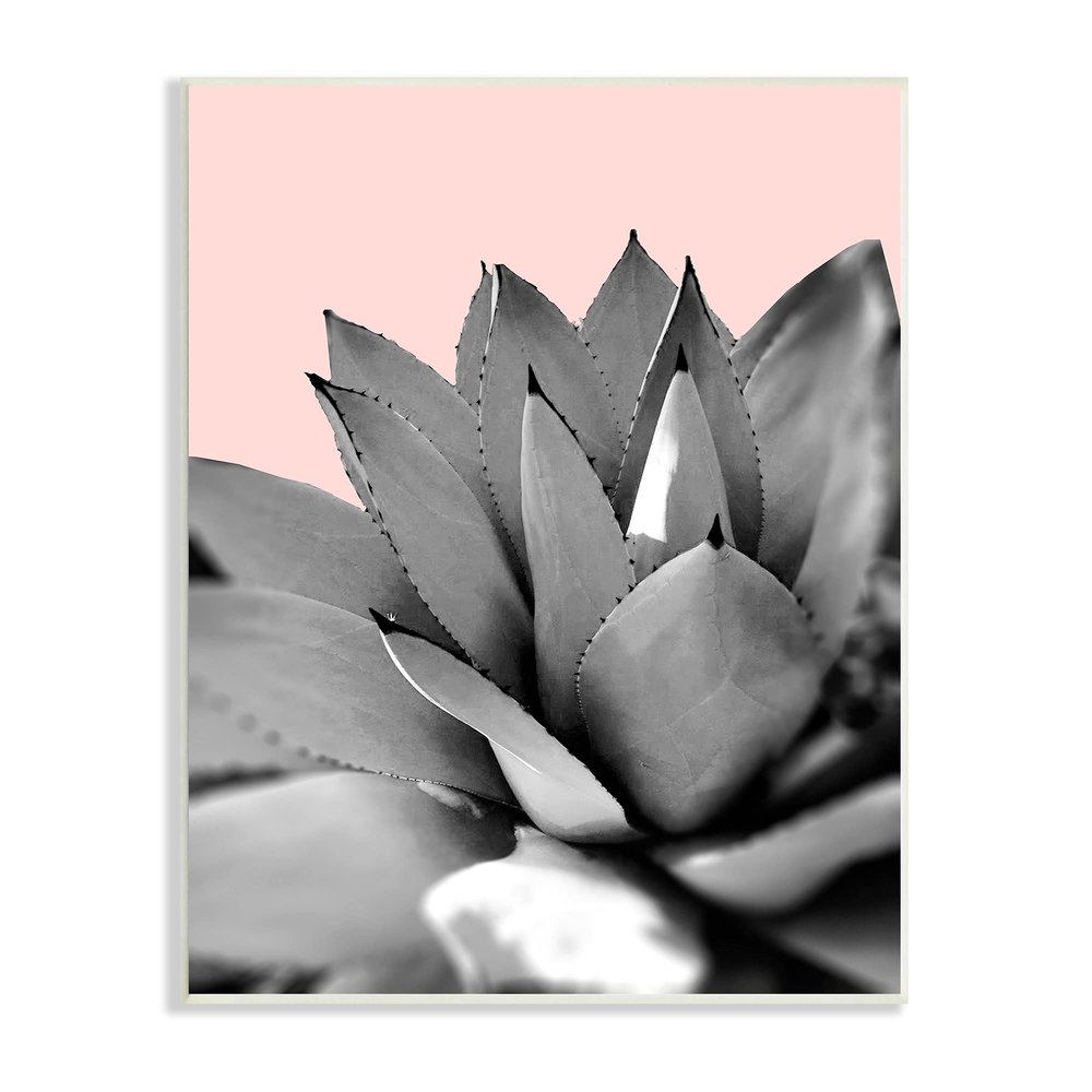 Stupell Industries Modern Succulent Photography Black White Plant Over Pink