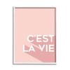 Stupell Industries C'est La Vie French Phrase Pink Pop Typography view 1