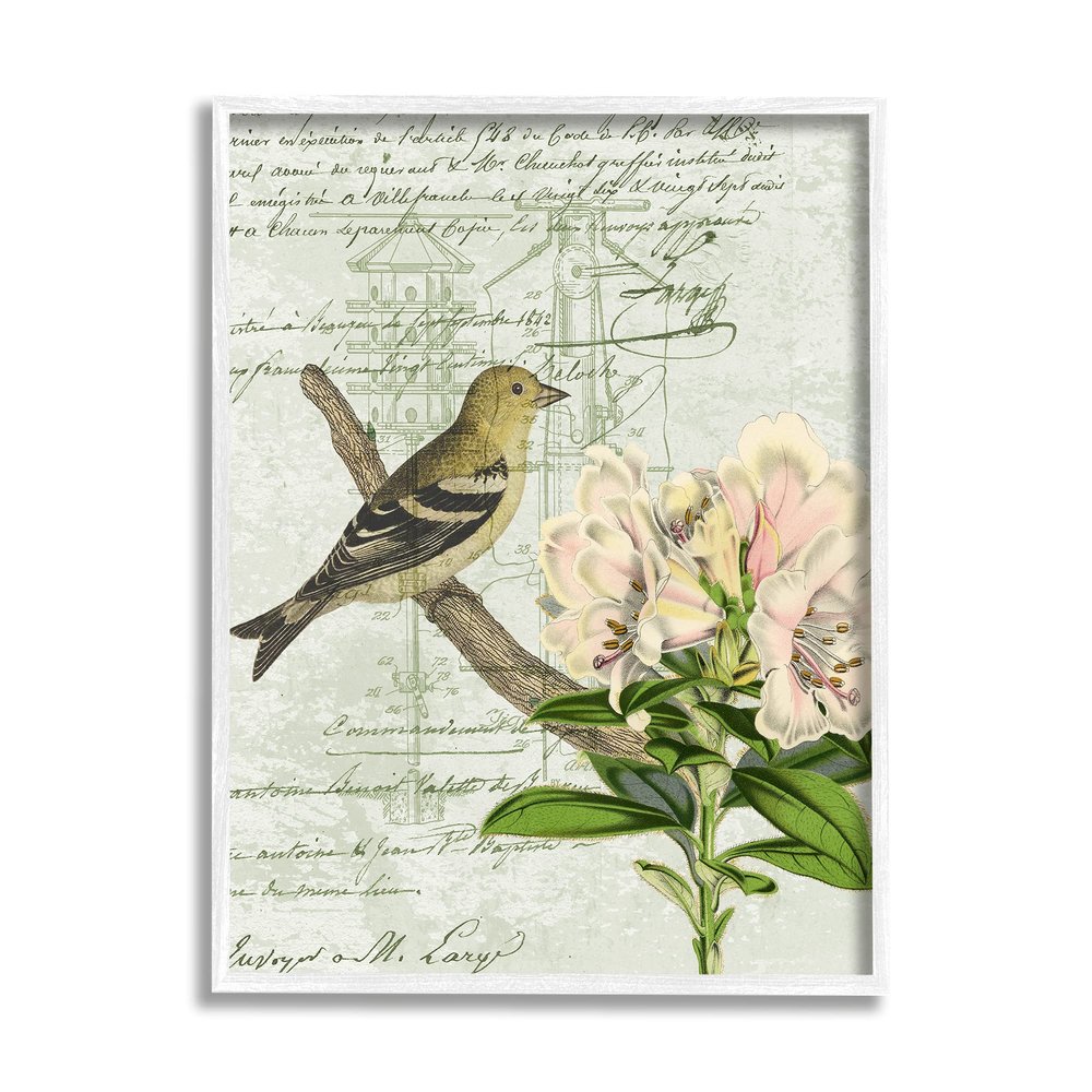 Stupell Industries Bird House Vintage Patent Lily Floral American Goldfinch