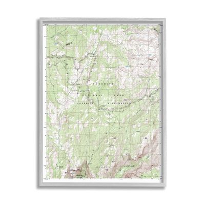 Stupell Industries Yosemite National Park and Wilderness Topographic Map Geography