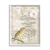 Stupell Industries Bird House Vintage Patent Forest Pattern Yellow Canary view 1