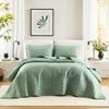 Comfort Spaces Sage Green Oversized Queen Quilt Set 102"x118" Bedspread Quilted Summer Lightweight Microfiber Bedding Coverlet with Double Sided Stitching Soft All Season 3 Piece with Matching Shams view 1