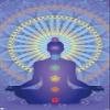 Trends International Spiritual - Chakras Wall Poster, 34L x 22.4W, Premium Unframed Version view 1
