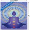 Trends International Spiritual - Chakras Wall Poster, 34L x 22.4W, Premium Unframed Version view 3