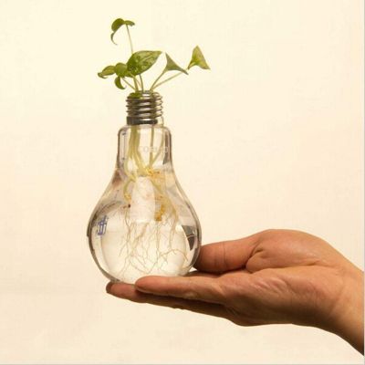 Aimee La Home Decor Wedding Decoration Light Bulb Transparent Glass Vase Fashion Hydroponic Flower Vase Home Hecoration Gifts
