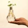 Aimee La Home Decor Wedding Decoration Light Bulb Transparent Glass Vase Fashion Hydroponic Flower Vase Home Hecoration Gifts view 1