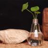 Aimee La Home Decor Wedding Decoration Light Bulb Transparent Glass Vase Fashion Hydroponic Flower Vase Home Hecoration Gifts view 2