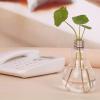 Aimee La Home Decor Wedding Decoration Light Bulb Transparent Glass Vase Fashion Hydroponic Flower Vase Home Hecoration Gifts view 3