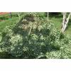 Suwooy Military Camo Netting, 23m 46m 68m 810m 36m Camouflage Shade Net, Camouflage Netting Green, Used for Car Cover, Theme Party Decoration, Light and Durable,Green-210m(6.632.8ft) view 4