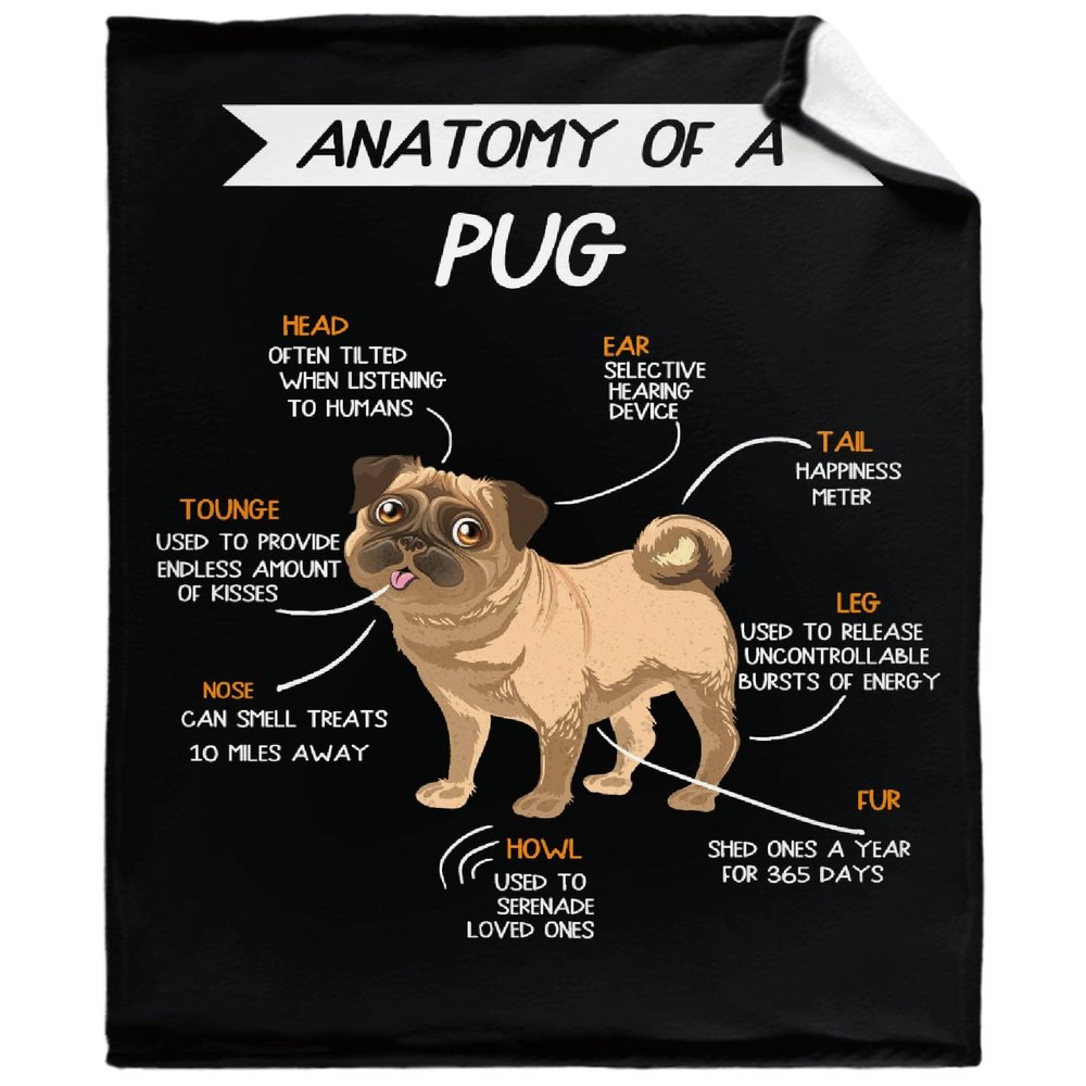Anatomy of A Pug Blanket Throw, Educational Learning Blanket, Perfect Girl & Boy's Gift, Super Soft Lightweight Funny Animal Lover Blanket for Sofa Bed Travel 120"x90" XL for Family