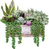 14 Pcs Assorted Artificial Succulents Fake Plants in Rectangular Wooden Pots Artificial Potted Succulents Plants Arrangement for Table Centerpiece Windowsill Shelf Mantel Tropical Greenery Decor view 1