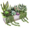 14 Pcs Assorted Artificial Succulents Fake Plants in Rectangular Wooden Pots Artificial Potted Succulents Plants Arrangement for Table Centerpiece Windowsill Shelf Mantel Tropical Greenery Decor view 3