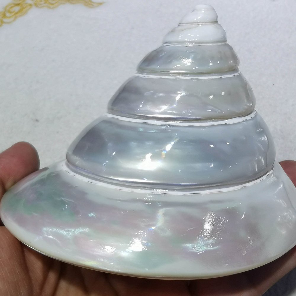 4pcs Spiral Cut Silver Troca I Sliced Shells Natural White Mother of Pearl Shell Iridescent Seashell Tower
