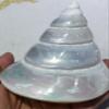 4pcs Spiral Cut Silver Troca I Sliced Shells Natural White Mother of Pearl Shell Iridescent Seashell Tower view 1