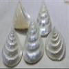 4pcs Spiral Cut Silver Troca I Sliced Shells Natural White Mother of Pearl Shell Iridescent Seashell Tower view 2