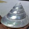 4pcs Spiral Cut Silver Troca I Sliced Shells Natural White Mother of Pearl Shell Iridescent Seashell Tower view 3