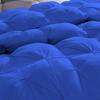 1 PC Goose Down Pinch Pleated Comforter with Corner Tabs 100% Organic Cotton 500 GSM Cotton Fill Power - Royal King/Cal King Size - Fluffy Baffle Box Design Light Weight Comforter Only view 3