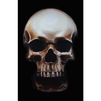 Above and Below by Will Thompson Human Skull Still Life Unframed Canvas Wall Art