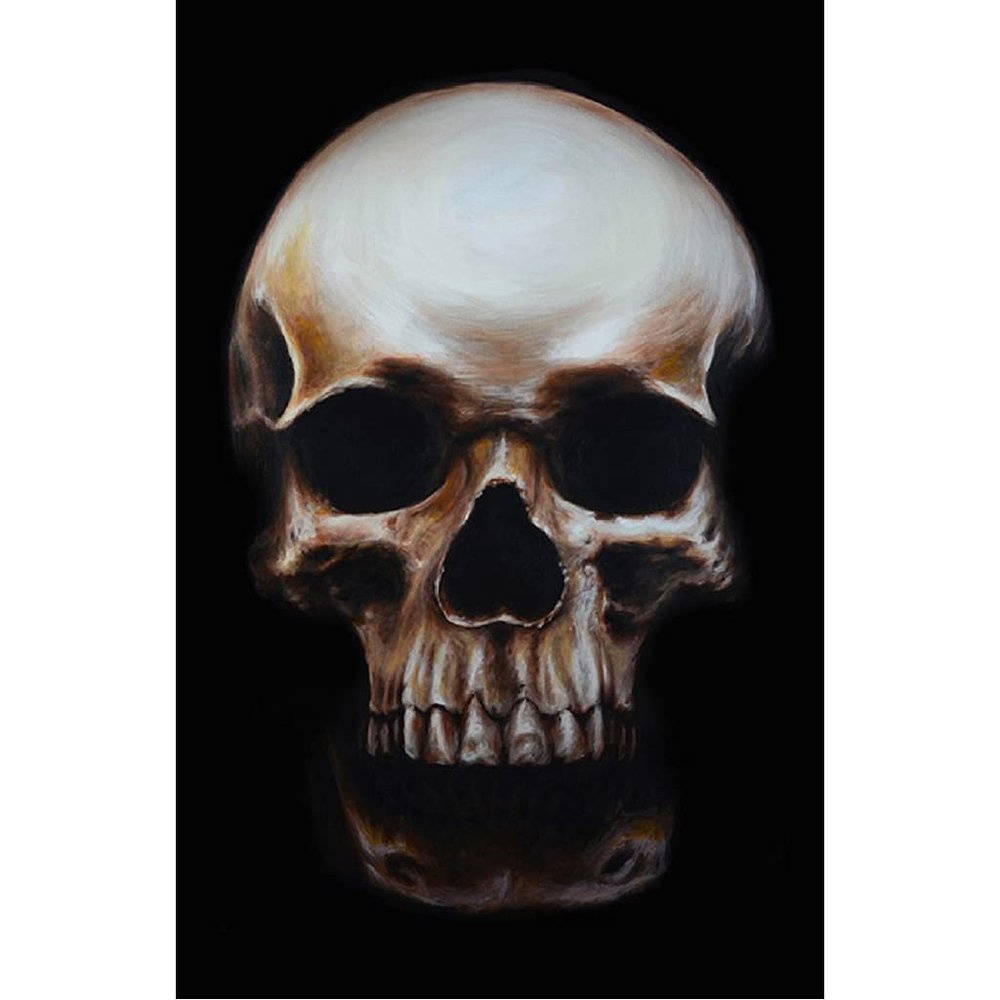 Above and Below by Will Thompson Human Skull Still Life Unframed Canvas Wall Art